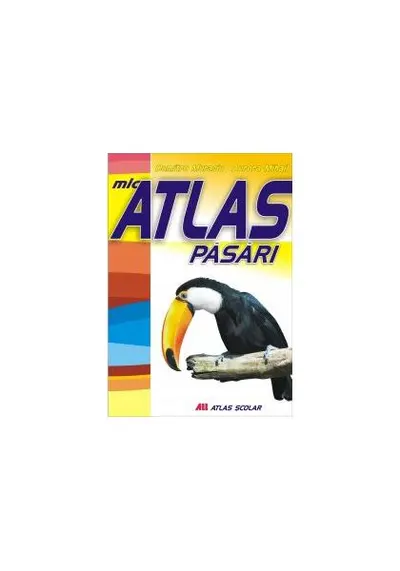 Mic atlas de păsări - Paperback brosat - Aurora Mihail