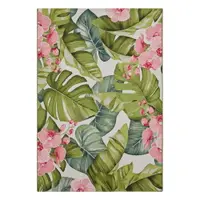 Covor de exterior 80x165 cm Flair – Hanse Home