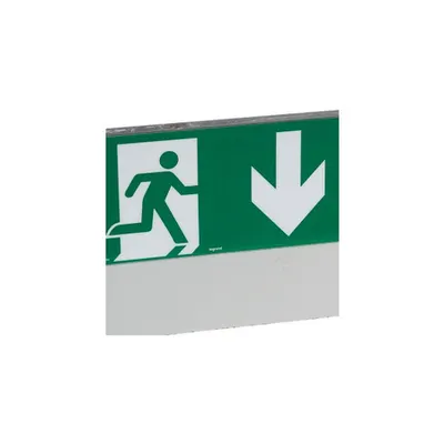 Label - pentru emergency lighting luminaires - exit Usa below - 127 x 254 mm