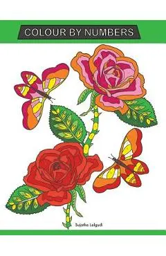 Colour by Numbers: Large Print Colour By Number Butterflies, Birds, and Flowers Adult Colouring Book