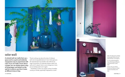 A Pop of Colour