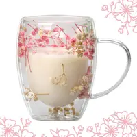 Cană cu flori uscate gypsophila, pereți dubli, sticlă borosilicată, 300 ml, SZK78