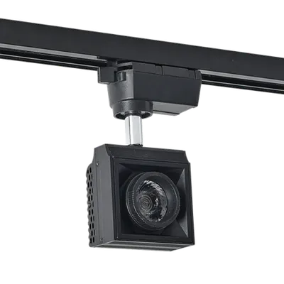 Ss Spot pe Sina 2-Linii 10w 24° 4000k Negru