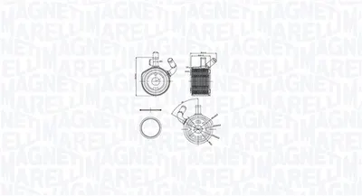 Radiator Ulei Potrivit Dacia Logan, Logan Express, Logan Mcv; Renault Clio Ii, Clio Ii Hatchback, Clio Iii, Grand Scenic Ii, Kangoo, Kangoo Express, Logan I, Megane Ii, Megane Ii Kombi 1.5d 06.01