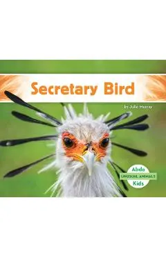 Secretary Bird