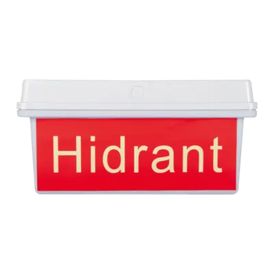 Lampa Exit LED IP65 30x0.1W Hidrant