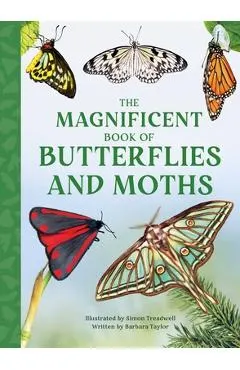 The Magnificent Book of Butterflies & Moths