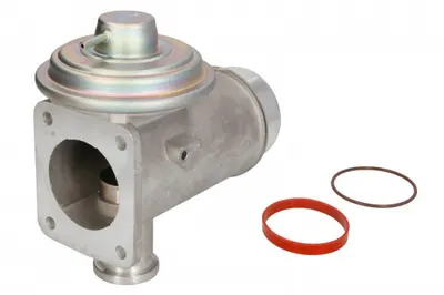 Supapa EGR BMW Seria 3 (E46), 3 (E90), 5 (E60), 5 (E61), 7 (E65, E66, E67), X5 (E53) 3.0D intre 1999-2009