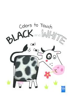 Colors to Touch: Black and White