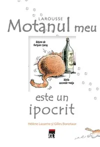 Motanul meu este un ipocrit - Hardcover - Helene Lasserre, Gilles Bonotaux