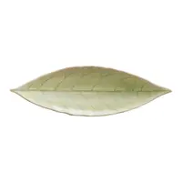 Platou mic din gresie ceramică Costa Nova Riviera, lungime 18 cm, verde