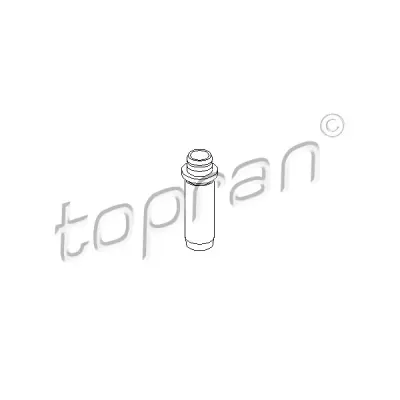ghid supapa TOPRAN 100 541