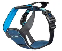Coa Ham Caine Carsafe Crash Tested Blue XS
