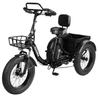 Tricicletă electrică ESKUTE T302 Pro Cargo, baterie 48V 20.8Ah