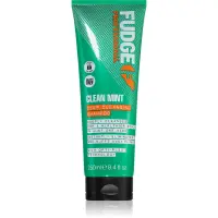 Fudge Clean Mint Shampoo șampon pentru păr gras 250 ml