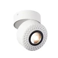 Corp iluminat TAVAN, lumenul TOTHEE lumini perete perete Alb si tavan, cu LED-uri, 3000K, alb / negru, 50 °,