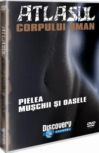 Atlasul corpului uman. Pielea. Muşchii şi oasele