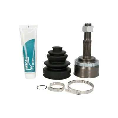 Set articulatie, planetara PASCAL G11056PC