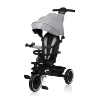 Tricicleta copii, Lionelo, Berry, 2 in 1, Multifunctionala, Suport picioare, Control al directiei, Scaun reversibil, Rotire 360 grade, Functie de roata libera, Utilizare pana la 5 ani, Constructie din otel, Conform cu standardul EN71, Gri, Resigilat