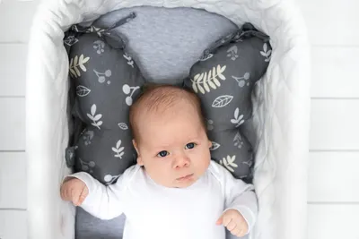 Perna din bumbac pentru copii Butterfly Jungle Sleepee