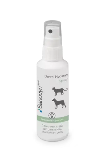 Sanocyn Forte Dental Hygiene Spray, 75 ml