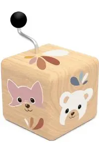 Cutie muzicala: Forest