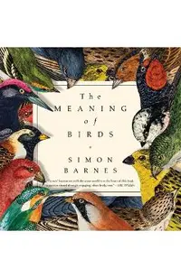 The Meaning of Birds