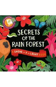 Secrets of the Rain Forest