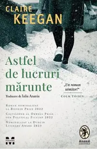 eBook Astfel de lucruri marunte