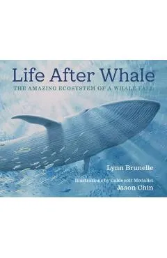 Life After Whale: The Amazing Ecosystem of a Whale Fall