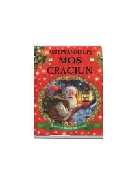 Așteptându-l pe Moș Crăciun - Hardcover - ***