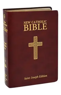 New Catholic Bible--Medium Print (Burgundy)
