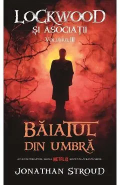 Baiatul din umbra Vol.3 Seria Lockwood si Asociatii