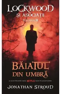 Baiatul din umbra Vol.3 Seria Lockwood si Asociatii