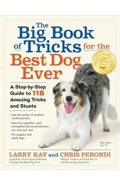 Big Book of Tricks for the Best Dog Ever
