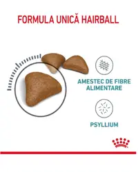 Royal Canin Felin Hairball Care - 10-kg