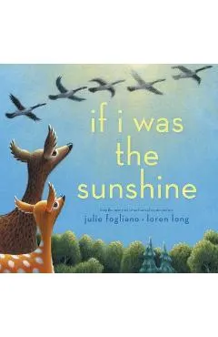If I Was the Sunshine