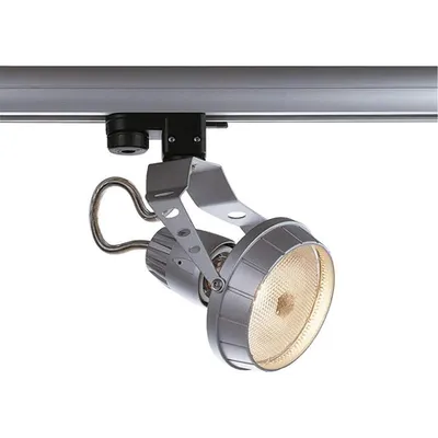 Spot AERO PAR 30,3 faze,gri