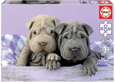 Puzzle cu 100 de piese
