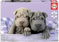 Puzzle cu 100 de piese