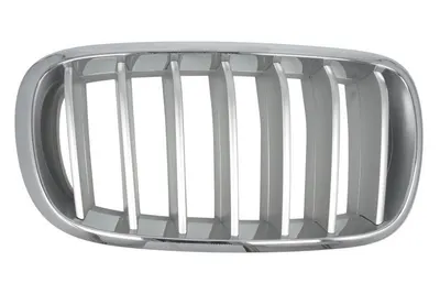 Grila fata Dreapta potrivit BMW X5 (F15, F85), X6 (F16, F86) 2.0D-4.4 2013-2019 - (PURE EXPERIENCE, crom/titan)