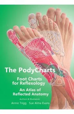 The PodyCharts Foot Charts for Reflexology: An atlas of reflected anatomy