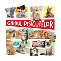Ghidul pisicuțelor - Paperback - ***