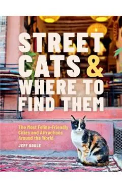 Street Cats & Where to Find Them: The Most Feline-Friendly Cities and Attractions Around the World