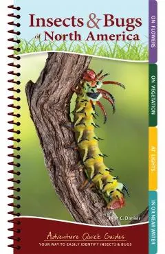 Insects & Bugs of North America: Your Way to Easily Identify Insects & Bugs