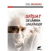 Sfîsiat de umbra unui inger
