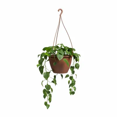 Ghiveci din plastic ø 31 cm Algarve – Artevasi