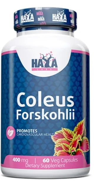 Coleus Forskohlii, 400 mg, 60 capsule, Haya Labs