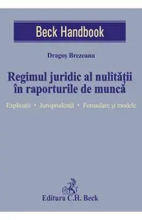 Regimul juridic al nulitatii in raporturile de munca
