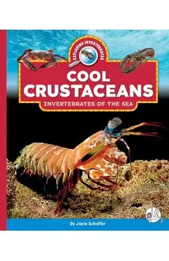 Cool Crustaceans: Invertebrates of the Sea